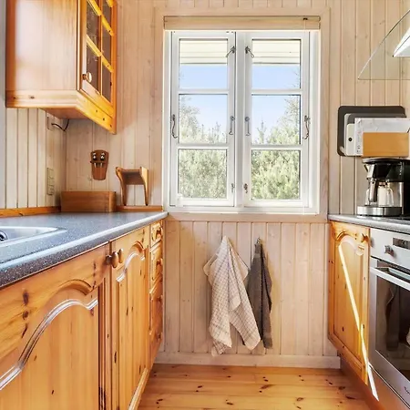 Tv1604-albaek-agerhonevej-9 Tatil Evi Ålbæk